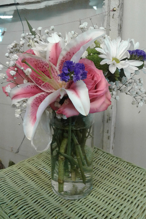 stargazers-pink-roses-2
